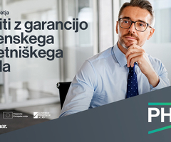Posojila podjetjem na problematičnih obmejnih območjih Republike Slovenije
