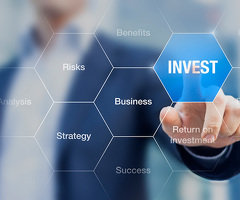 INVESTMENT IN BUSINESS PROJECTS