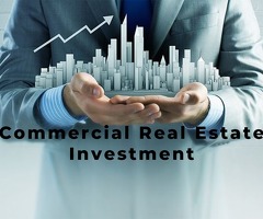 INVESTMENT IN COMMERCIAL BUSINESS PROJECTS AND RESIDENTIAL REAL ESTATE PROPERTIES