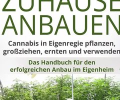 🌱 Cannabis zu Hause anbauen – So klappt’s!