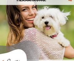 🐶🐱🐴🐾 Gesunde Tiernahrung & Geld verdienen im Home Office!