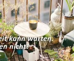 Feng Shui aktiviert Glücksgefühle.