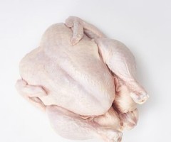 Chicken Products For Sale Export - 2