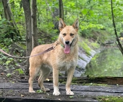 Dringend verkaufen - 2