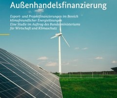 Projektfinanzierung-Financial Engineering im internationalen Projektbereich